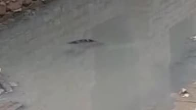 एत्मादपुर: मोहल्ला सत्ता में घुसा नहर का पानी, गलियां हुई जलमग्न