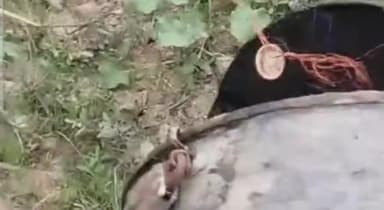 पटना ग्रामीण: बुद्धा कॉलोनी थाना क्षेत्र के दियारा इलाके से भारी मात्रा में देसी शराब बरामद