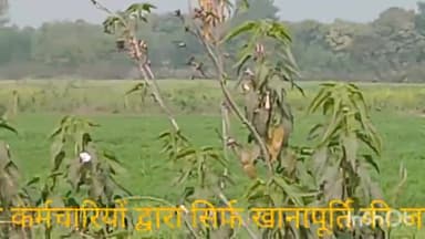 लिधौरा: रतनगुआँ गांव की वन भूमि पर अधिकारी कर रहे हैं लीपा पोती दबंग के साथ मिलकर करवाया कब्जा