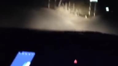 જેતપુર: કેરાળી ભાદર રોડ પર દીપડો દેખાતા વન વિભાગને જાણ કરાઈ