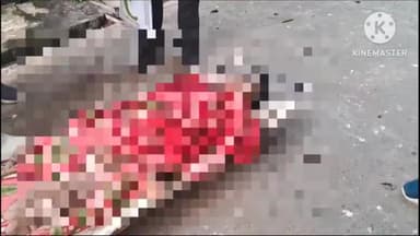 पुरनहिया: चिरैया बसंतपट्टी पाथ में सड़क हादसे में युवक की हुई मौत, परिजनों का रो - रो कर बुरा हाल