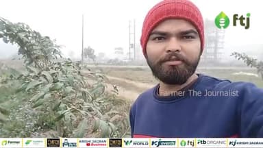 अर्जुन वृक्ष के स्वास्थ्य फायदे और औषधि उपयोग
#agriculturelife #farming #farmersbenefits #medicinalplants #medicine