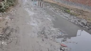 दादरी: त्यागी पेट्रोल पंप छपरौला जी बी नगर से बिसरख रेलवे क्रॉसिंग तक के रोड का है बुरा हाल @gbnagar #chhapraula