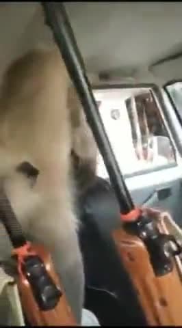 शोसल मिडिया पर हो रहा भयंकर वायरल