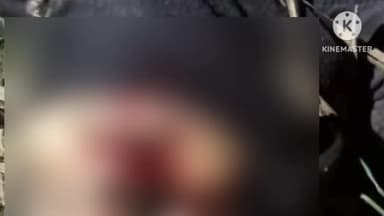 सिधाव: बगहा के मौनाहा टोला बैराटी मुख्य सड़क पर हुए सड़क दुर्घटना में एक व्यक्ति की हुई मौत