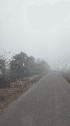 #पलेरा: घूरा गांव में लगातार बढ़ रहा है कोहरा 31 दिसंबर से नहीं निकली धूप