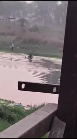 बहराइच: गोलवाघाट नदी मे युवक ने लगाई छंलाग,अस्पताल में इलाज जारी,वीडियो हुआ वायरल