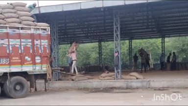 होशंगाबाद नगर: कृषि उपज मंडी में स्थित समर्थन मूल्य के खरीदी केंद्र से शुरू हुआ धान का परिवहन हुआ 50 टन धान का हुआ परिवहन