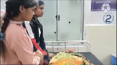 तेंदूखेड़ा: चार धाम की तीर्थ यात्रा के दौरान बनवार की एक महिला की तिरुपति बाला जी में हुई मौत