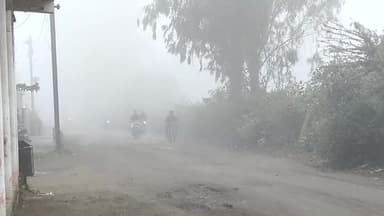 सुबह 9:30 पर बच्चों की स्कूल जाने के समय पर कोहरा ही कोहरा