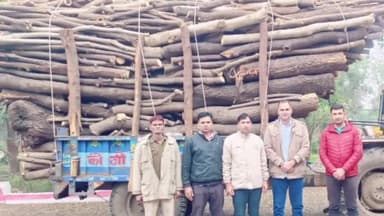 सुनेल: सुनेल नाका क्षेत्र से अवैध लकड़ियों से भरा ट्रैक्टर ट्राली जप्त, चालक गिरफ्तार