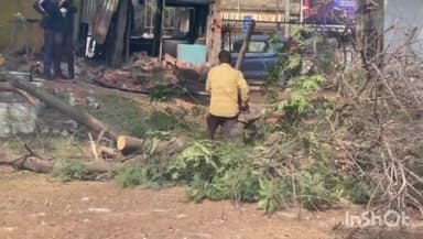 होशंगाबाद नगर: मीनाक्षी चौक पर चौड़ीकरण के लिए प्रशासन ने जल संसाधन विभाग के कार्यालय के सामने आ रहे पेड़ों को कटवाया