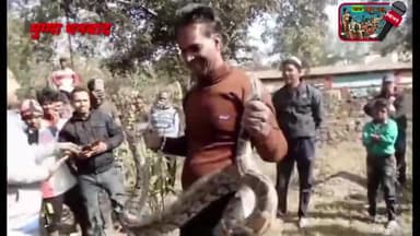 Ecl mugma aria के समीप गोपालपुरा में भयानक अजगर सांप निकला इसे देखने के लिए भीड़ जुट गई