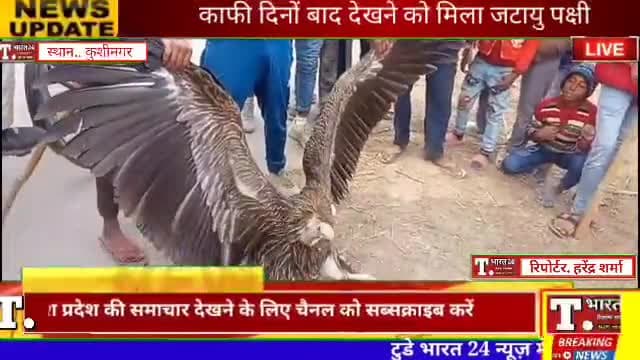 तमकुही राज ; तमकुही के दुलमा पट्टी में ठण्ड से विशाल पक्षी गिरा || #kushinagar #Viralvideos #tredingnews