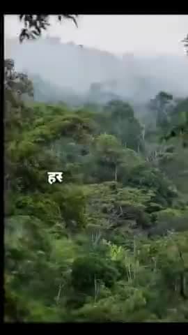 #savehasdeo #हसदेवबचाओ  छत्तीसगढ़