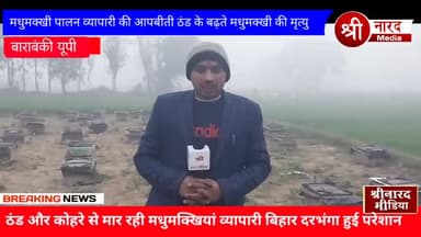 मधुमक्खी व्यवसाय को मौसम खराब होने से मधुमक्खियां की जा रही है जान Lakshman Singh Barabanki