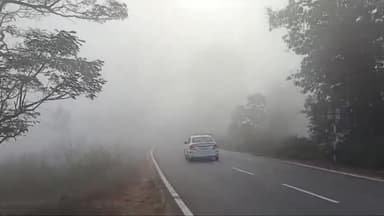 नावाडीह: नावाडीह में घना कोहरा के साथ धुंध से बढ़ी कपकपी, लाइट जलाकर वाहनों की हुई आवाजही