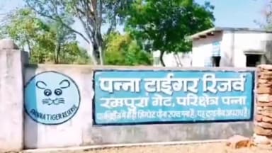 सिमरिया: जंगली सूअर का शिकार करने वाले चार आरोपियों को पन्ना टाइगर रिजर्व की टीम ने किया गिरफ्तार