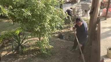 मंदसौर: राम मंदिर की प्राण प्रतिष्ठा को लेकर पशुपतिनाथ मंदिर परिसर में शासकीय कर्मचारियों ने की सफाई, जलाए जाएंगे 51 हजार दीये