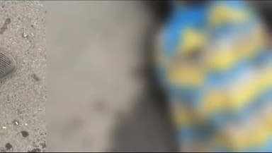 डेहरी: NH-2 स्थित नेहरू कॉलेज के समीप ट्रक की टक्कर से बाइक सवार युवक की मौके पर हुई मौत, एक अन्य घायल