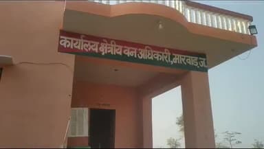 मारवाड़ जंक्शन: मारवाड़ जंक्शन वन चौकी जाप्ता ने जेतपुरा चोराये से गीली लकड़ी से भरे 3 वाहनो को किया जप्त