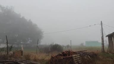 लोहरदगा: जिले में भी दिख रहा सीतलहरी का असर आसमान में छाए है घने बादल के साथ कोहरा।