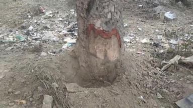 कुढ़नी: केरमा लालू चौक स्वास्थ्य केन्द्र के पूरब पेड़ काटने को लेकर दो पक्षों में विवाद