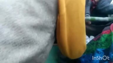 अजयगढ़: पिपराही के जंगल में बकरी चराने गए वृद्ध पर भालू ने किया हमला, घायल वृद्ध को झोली में लटकाकर पहुंचाया गया अस्पताल