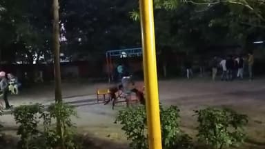 कानपुर नगर jkके पास लाल बहादुर शास्त्री पार्क पलकों की व्यवस्था ठीक नहीं बड़े भी झूला तोड़ने में सहयोग कर रहे हैं