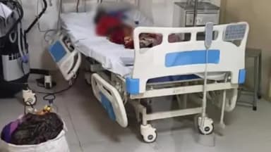 बैरसिया: भोपाल में आवारा कुत्ते के काटने से एक और मासूम की मौत, इलाज के दौरान तोड़ा दम