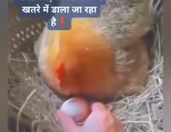 5 kg राशन और 2000 रूपए के लालच में आने वाली पीढ़ियों की भविष्य को खतरे में डाला जा रहा है! इस वीडियो को देखें और समझें