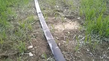 करेरा: शहर के ग्रामो में कड़ाके की सर्दी पढ़ रही है,कोहरे के साथ तुषार ब पाल्हा की चादर पड़ी दिखाई दि ll