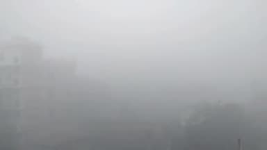 बेगूसराय: शुक्रवार की सुबह शहरी क्षेत्र में दिखा भीषण कोहरा, मौसम विभाग ने 29 जनवरी तक ठंड के दिए संकेत