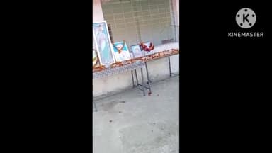 खुरई: रूसल्ला स्कूल में गणतंत्र दिवस कार्यक्रम में डॉ भीमराव अम्बेडकर की फोटो नहीं रखने पर ग्रामीणों ने एसडीएम को ज्ञापन सौंपा