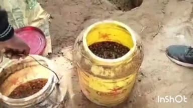 जमुई: उत्पाद विभाग ने नवडीहा सहित विभिन्न गांव में छापेमारी कर 2000 किलो जावा महुआ और 150 लीटर चुलाई शराब किया नष्ट