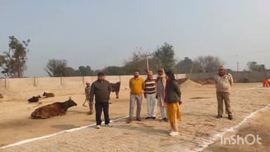 जलेसर: पायंदापुर गौशाला का प्रशासनिक अधिकारियों ने किया औचक निरीक्षण।