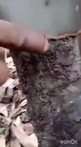 डिबाई: नरौरा क्षेत्र के एक दर्जन से अधिक गांव की बीते 24 घंटे से विद्युत आपूर्ति ठप, स्थानीय लोग परेशान