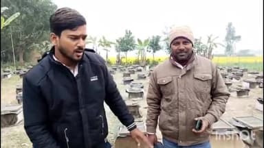 कटिहार: कटिहार में मधुमक्खी पालकों को नही मिल रही सही कीमत,सरकार से लगा रहे गुहार।