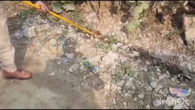 मैनपुरी: दन्नाहार क्षेत्र में कोबरा सांप निकलने से मचा हड़कंप, मौके पर पहुंची वन विभाग की टीम ने सांप को पकड़ा