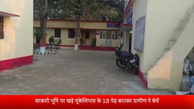 बीसलपुर: गांव मनपुरा में सरकारी भूमि पर खड़े यूकेलिप्टस के 13 पेड़ों को काटकर आरोपी ने बेचा, लेखपाल की तहरीर पर दर्ज हुआ मुकदमा