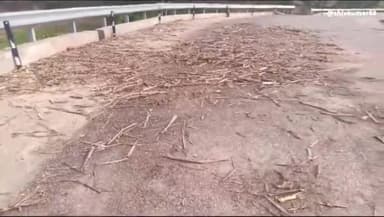 माला नदी के पुल के किनारे भरे जा रहे गन्ने के ओवरलोड ट्रक, पुल की रेलिंग हुई क्षतिग्रस्त। बारिश बनी मुसीबत