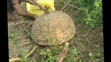 हरदोई: टड़ियावां में बेटे की जिंदगी बचाने के लिए जहरीले सांप से लड़ गए पिता, सांप लेकर पहुंचे मेडिकल कॉलेज