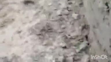 बेनीपट्टी: सरकारी जमीन से मिट्टी काटने की जांच और कार्रवाई को लेकर बेनीपट्टी अनुमंडल कार्यालय में ग्रामीण ने एसडीएम से लगाई गुहार