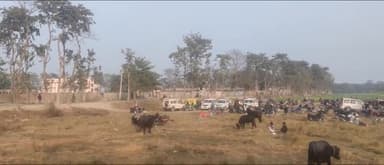 शिवहर: शिवहर जिले में पांचवें दिन कड़ी सुरक्षा के बीच इंटरमीडिएट की परीक्षा शुरू