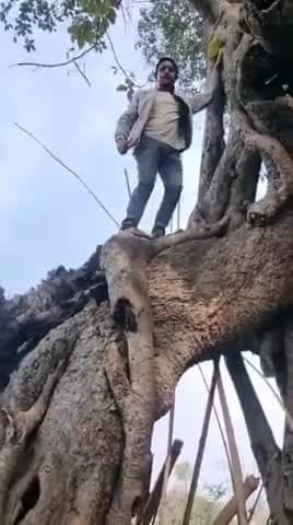 उदाकिसनगंज के सहजादपुर में @publickinews @tjaswita #virlnews