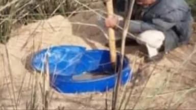 डेहरी: कछवा में अवैध शराब के विरुद्ध सोन नदी के टीले पर ALTF ने छापेमारी के दौरान भारी मात्रा में महुआ शराब को किया विनष्ट