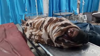 खगड़िया: मरैया में बाइक की ठोकर से वृद्ध हुआ जख्मी