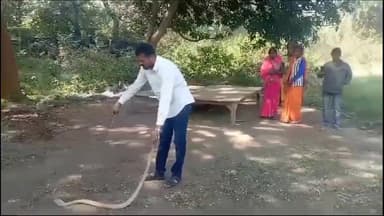 डेहरी: इंडस्ट्रियल एरिया के पत्तल फैक्टरी में 6 फ़ीट का जहरीला सांप मिलने से मचा हड़कंप, स्नेक कैचर ने किया रेस्क्यू