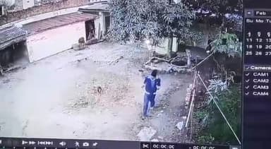 बांसगांव: ग्राम पंचायत हटवा के मंझरिया में 65वर्षीय बुजुर्ग को बंदर ने पैर खींच कर पटका,  बुजुर्ग घायल