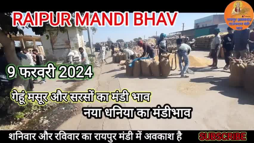 नया धानिया का रायपुर मंडी में भाव। #viral #shortsvide #कोटा